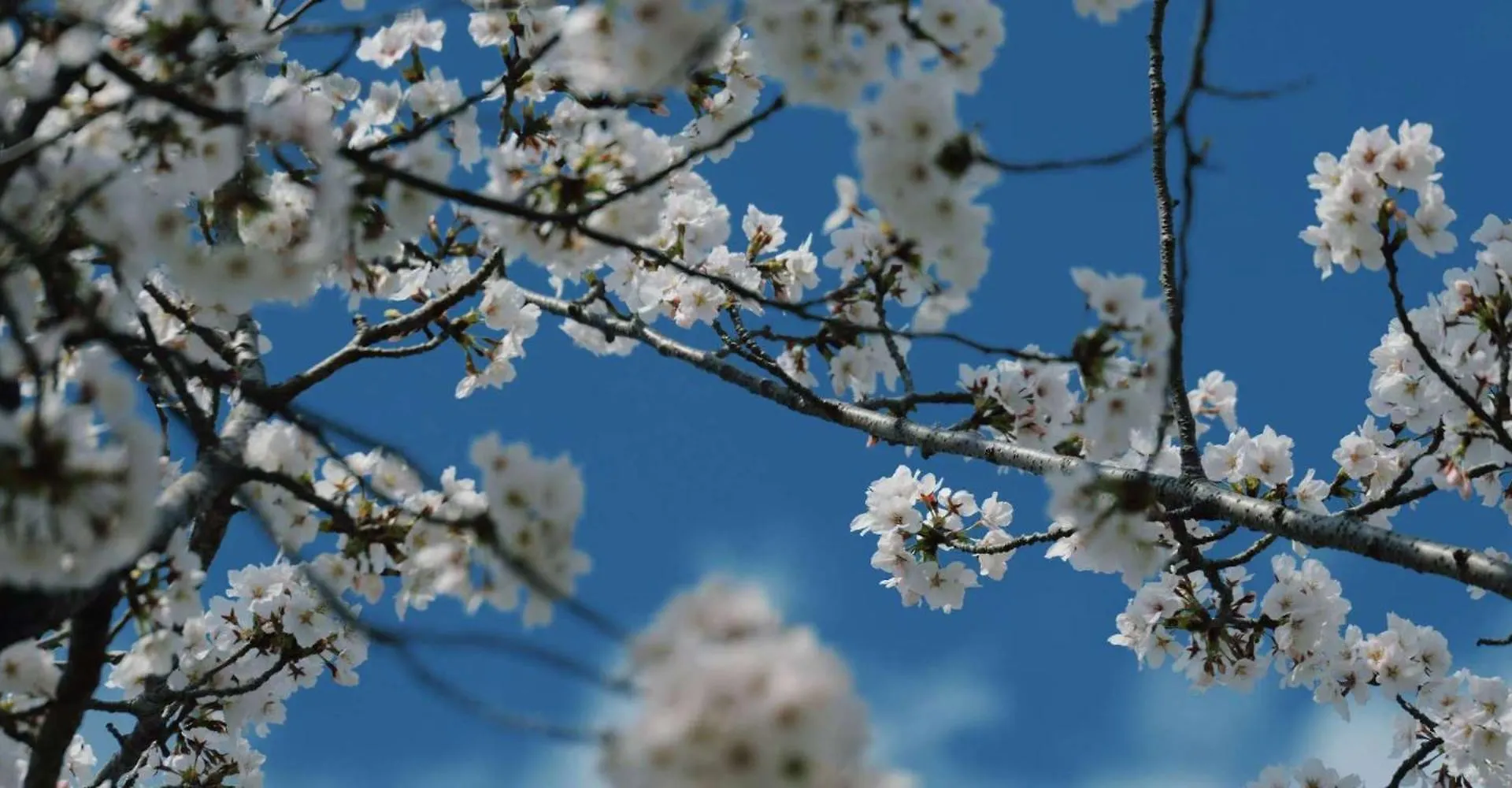 Konayuki Inn Machiya 粉雪の宿 5Min Walk From Kyoto St 0*,  Japan